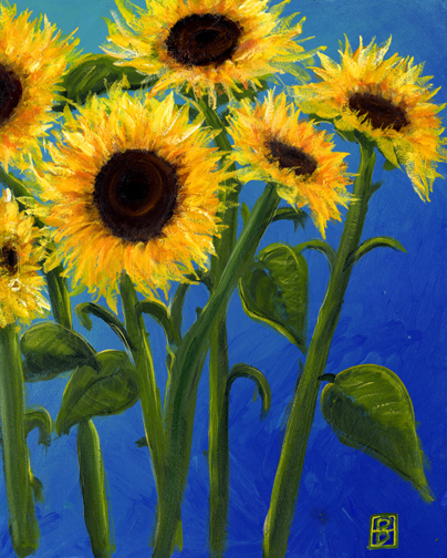 Sunflowers On Blue